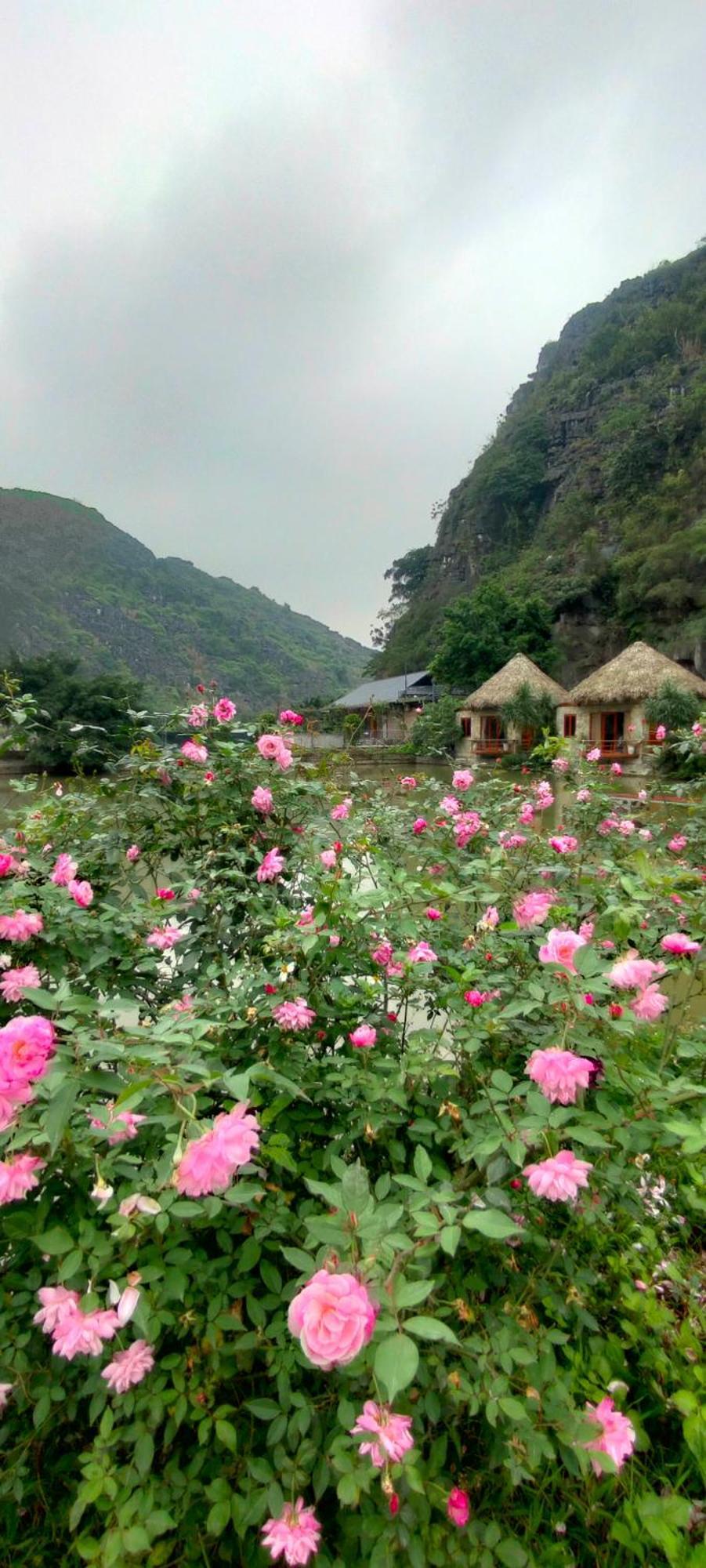 Hang Mua Eco Garden Xuan Son Kültér fotó