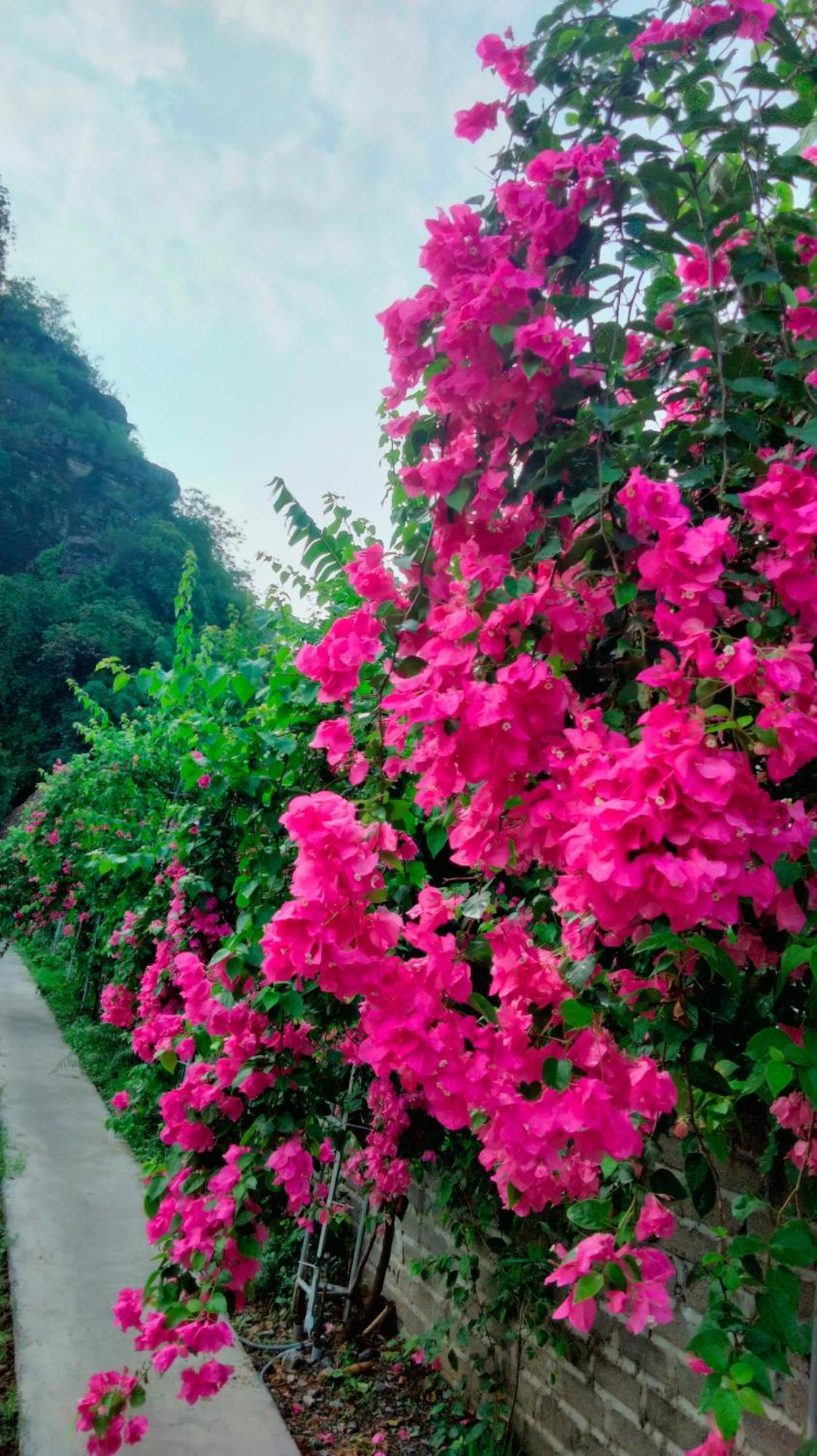 Hang Mua Eco Garden Xuan Son Kültér fotó