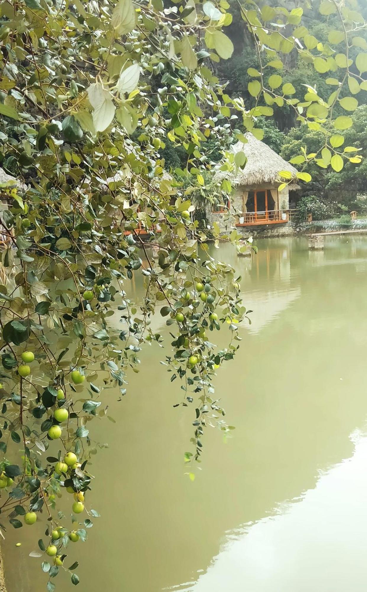 Hang Mua Eco Garden Xuan Son Kültér fotó
