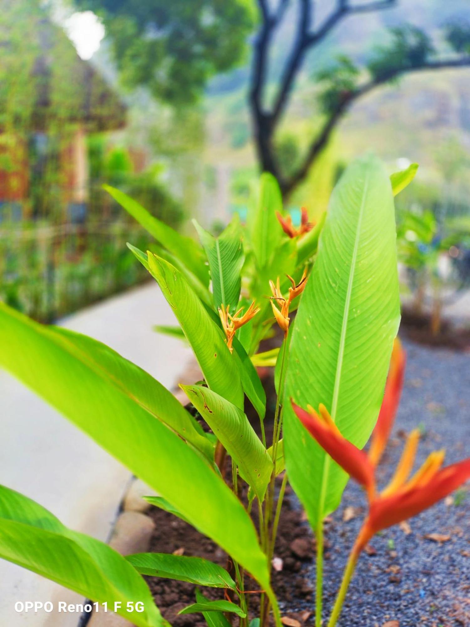Hang Mua Eco Garden Xuan Son Kültér fotó