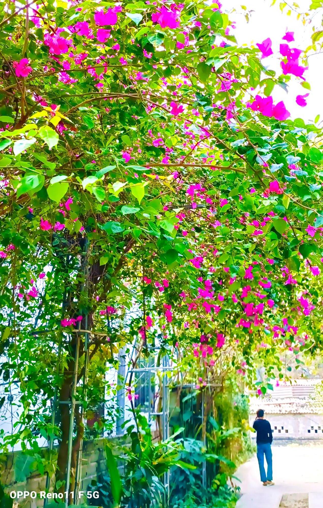 Hang Mua Eco Garden Xuan Son Kültér fotó